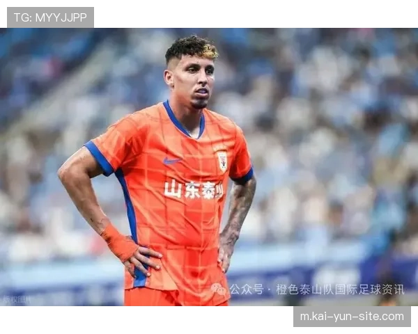 新引进外援表现平平 缺乏牵动进攻节奏核心力量 新引进外援表现平平 缺乏牵动进攻节奏核心力量